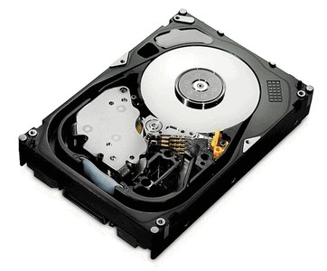 Hitachi Ultrastar 15K600 HUS156045VLS600 450Gb