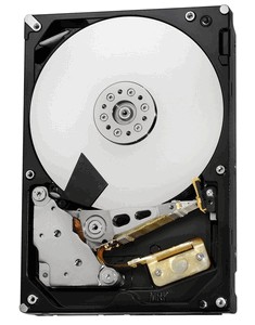 Hitachi Ultrastar 7K3000 (HUS723030ALS640) 3000 Gb