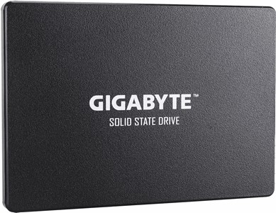 SSD Gigabyte GP-GSTFS31100TNTD 1000Gb