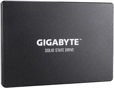 SSD Gigabyte GP-GSTFS31256GTND 256Gb