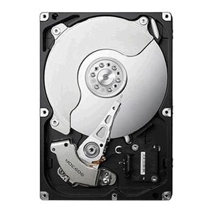 Samsung HD105SI 1000 Gb