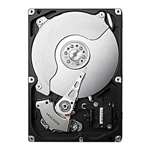 Samsung HD253GJ 250 Gb