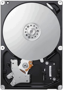 Samsung HD256GJ 250 Gb