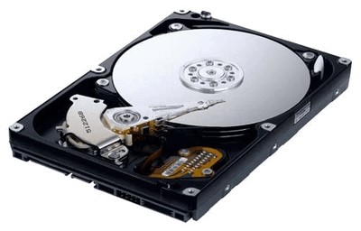 Samsung HD501LJ 500 Gb