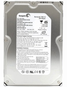 Seagate Barracuda 7200.10 ST3250620A 250 Gb