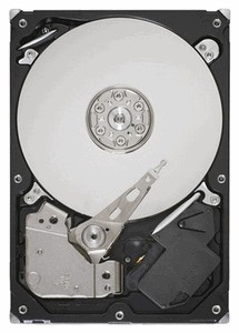 Seagate Barracuda 7200.12 ST320DM000 320 Gb