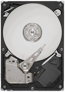Seagate Barracuda 7200.12 ST3320418AS 320 Gb