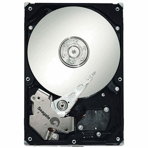 Seagate Barracuda ES.2 ST31000640SS 1000 Gb