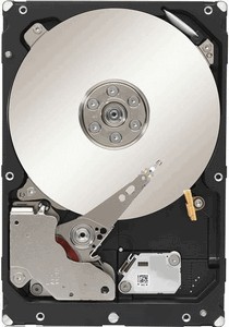 Seagate Constellation ES.3 (ST1000NM0033) 1000 Gb
