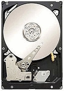 Seagate Constellation ES ST1000NM0001 1000 Gb