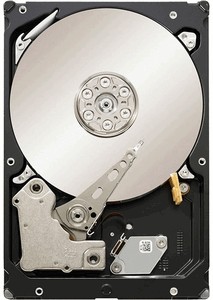 Seagate Constellation ES ST2000NM0001 2000 Gb