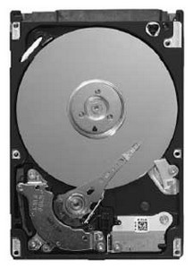 Seagate Momentus ST9750423AS 750 Gb