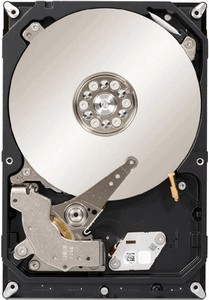 Seagate NAS HDD (ST1000VN000) 1000 Gb