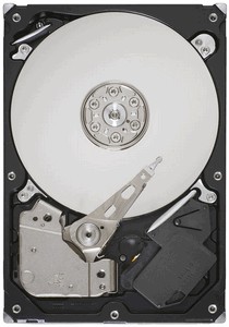 Seagate Pipeline HD (ST3500312CS) 500 Gb