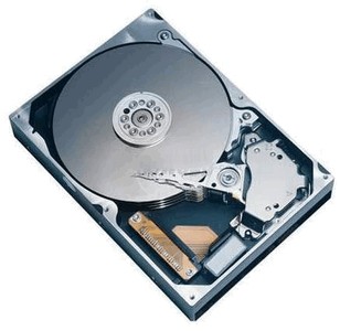 Seagate ST3160815A 1160 Gb