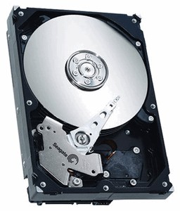 Seagate ST3400820AS 400 Gb