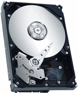 Seagate ST3500630NS 500 Gb