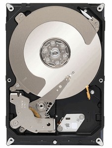 Seagate Terascale (ST4000NC001) 4000 Gb