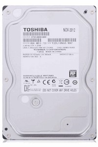 Toshiba DT01ABA100V 1000 Gb
