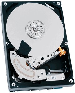 Toshiba (MG03ACA100) 1000 Gb