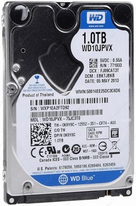 Western Digital Blue (WD10JPVX) 1000 Gb
