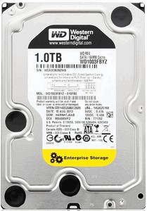 Western Digital RE (WD1003FBYZ) 1000 Gb