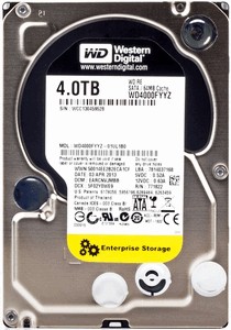 Western Digital RE (WD4000FYYZ) 4000 Gb