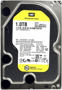 Western Digital Re (WD1004FBYZ) 1000 Gb