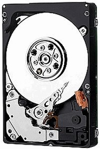Western Digital S25 (WD3000BKFG) 300 Gb