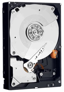 Western Digital WD1001FALS 1000 Gb