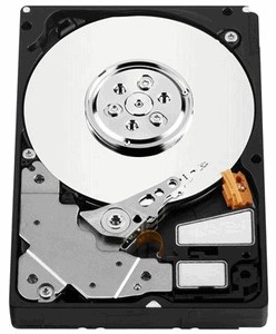 Western Digital WD3000BLFS 300 Gb