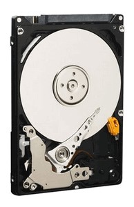 Western Digital WD3200BEKT 320 Gb