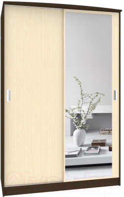 Шкаф Кортекс-мебель Лагуна ШК02-01 (венге/венге светлый)