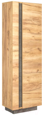 Шкаф-пенал Mobi Арчи 10.05 (дуб золотой craft/камень темный U3705)