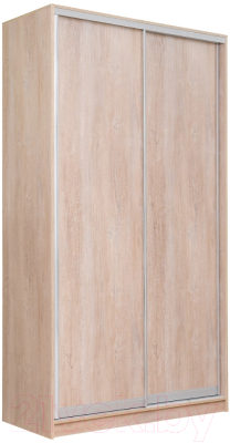 Шкаф Рэйгрупп 120450 TTX Elgon РГ-12.03 (дуб торонто/хром)