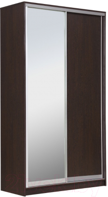 Шкаф Рэйгрупп 120450 VVX Elgon РГ-06.02 (венге/хром)