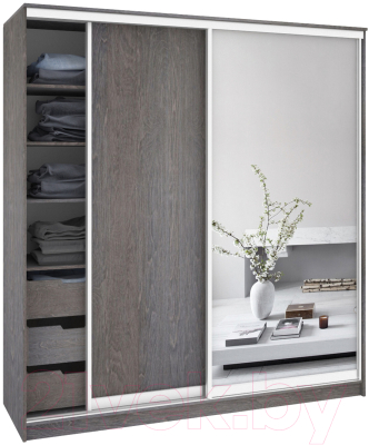 Шкаф Кортекс-мебель Сенатор ШК12 Классика ДСП с зеркалом (береза)