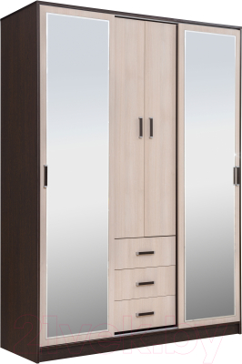 Шкаф Рэйгрупп 160 VH Elza EL-01.01 (венге/шамони)