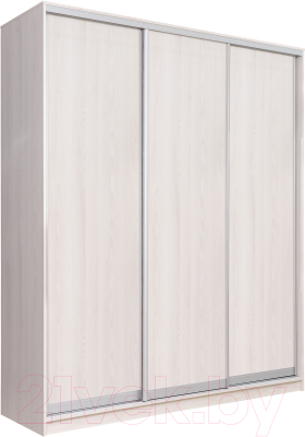 Шкаф Рэйгрупп 176 YYX Elgon РГ-09.03 (ясень снежный/хром)