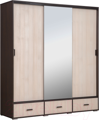 Шкаф Рэйгрупп 199 VHG Elza EL-01.02 (венге/шамони)