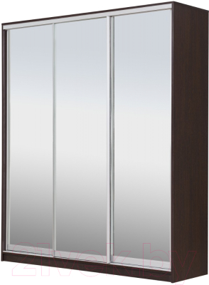 Шкаф Рэйгрупп 203450 VVX Elgon РГ-02.04 (венге/хром)