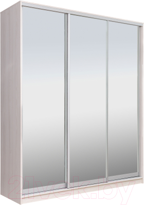 Шкаф Рэйгрупп 203 YYX Elgon РГ-02.04 (ясень снежный/хром)