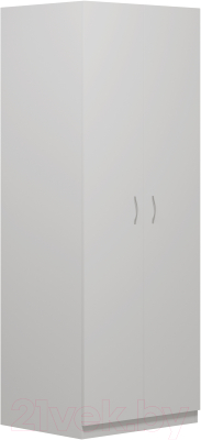 Шкаф Mio Tesoro Пегас 2-х створчатый 2.04.01.020.1 (белый)