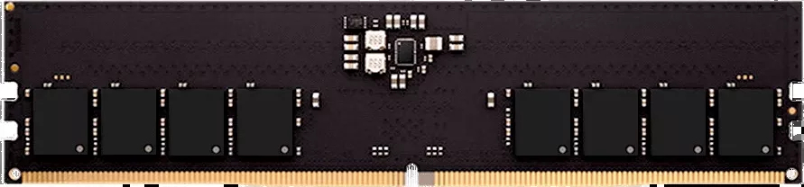 AMD Radeon R5 Entertainment Series 16ГБ DDR5 4800 МГц R5516G4800U1S-U