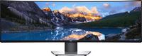 Dell UltraSharp U4919DW