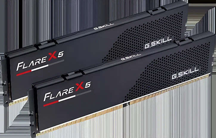 G.Skill Flare X5 2x32ГБ DDR5 5600МГц F5-5600J3636D32GX2-FX5