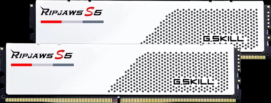 G.Skill Ripjaws S5 2x32ГБ DDR5 5600МГц F5-5600J3036D32GX2-RS5W