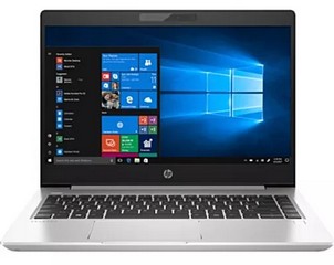 Ноутбук HP ProBook 445 G7 175V5EA