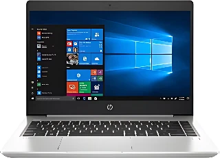 Ноутбук HP ProBook 445 G7 (7RX17AV)