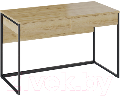 Компьютерный стол ТриЯ Лофт тип 2 (черный/дуб крафт золотой)